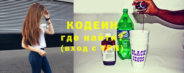 винт Каменка