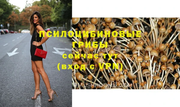 винт Каменка