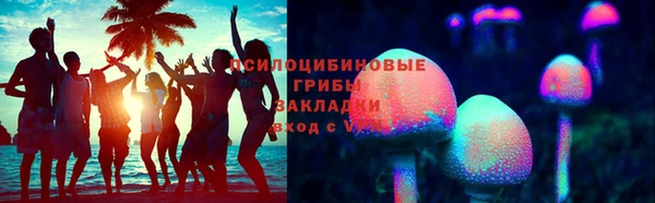 тгк Карпинск