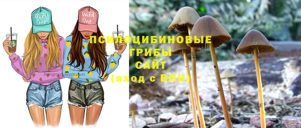 дурь Инта
