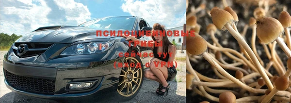 СК Касимов