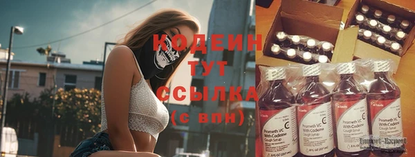 дурь Инта