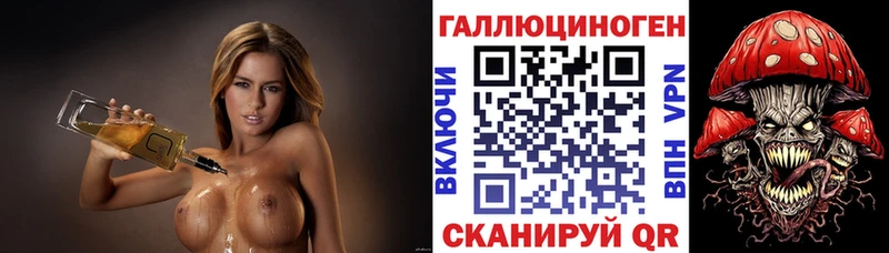 OMG зеркало  Княгинино  Псилоцибиновые грибы Psilocybe 